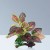 Декорация для аквариума "Растение на коряге" (для аквариумов и террариумов), AQPL-002
